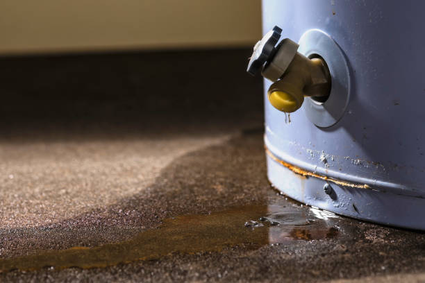 Best Ceiling water damage repair  in Shamrock, TX