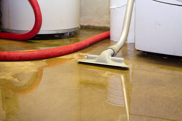 Best Water damage restoration near me  in Shamrock, TX