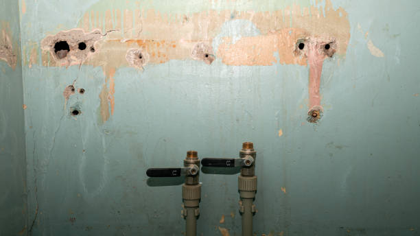 Best Fire Damage Restoration  in Shamrock, TX