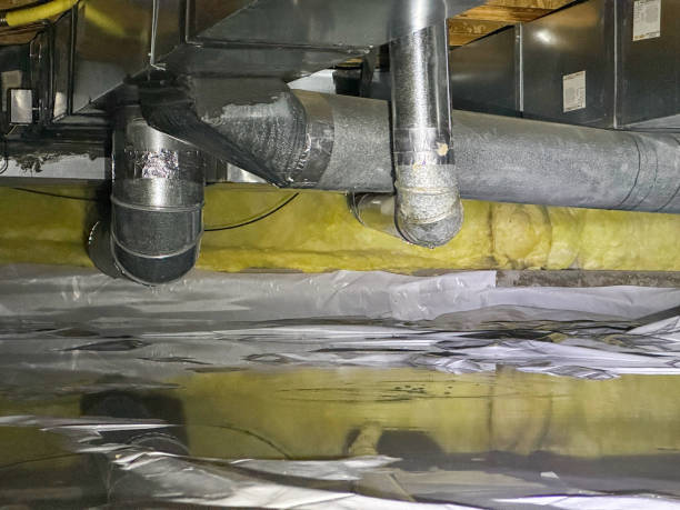 Best 24/7 water damage repair  in Shamrock, TX