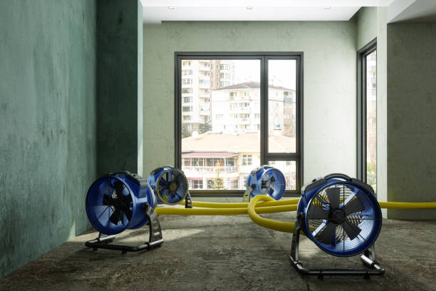 Best Sewage cleanup and water damage restoration  in Shamrock, TX